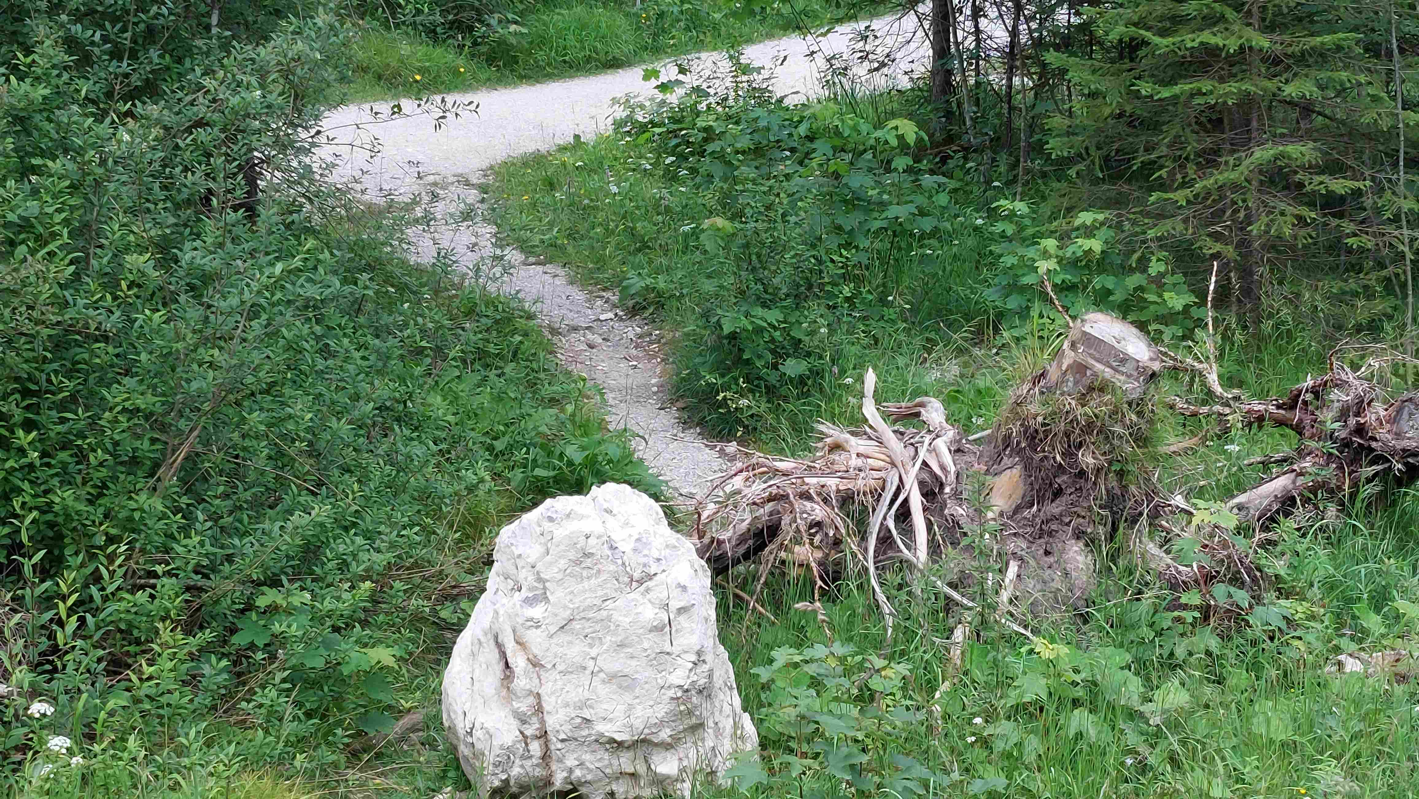 Image of test taskt1